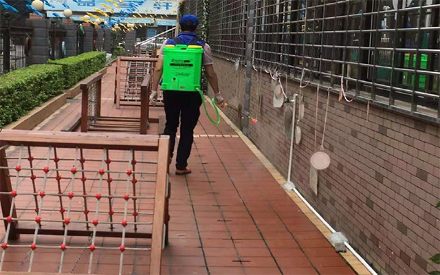 漳州白蟻預防及消殺